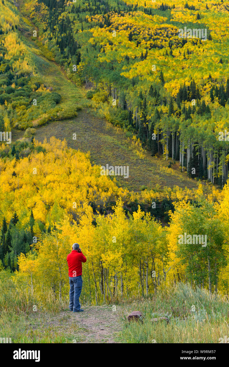 North America, American, USA, Rocky Mountains, Colorado, Aspen, White River National Forest, kastanienbraunen Glocken Scenic Area *** Local Caption *** Stockfoto