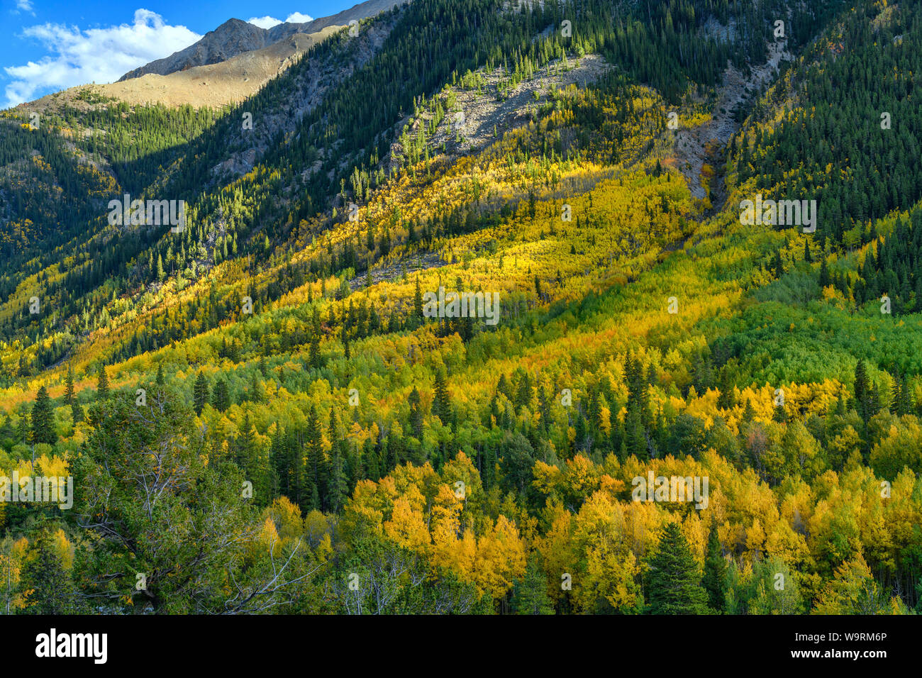 North America, American, USA, Rocky Mountains, Colorado, Aspen, Independence Pass, Herbst *** Local Caption *** Stockfoto