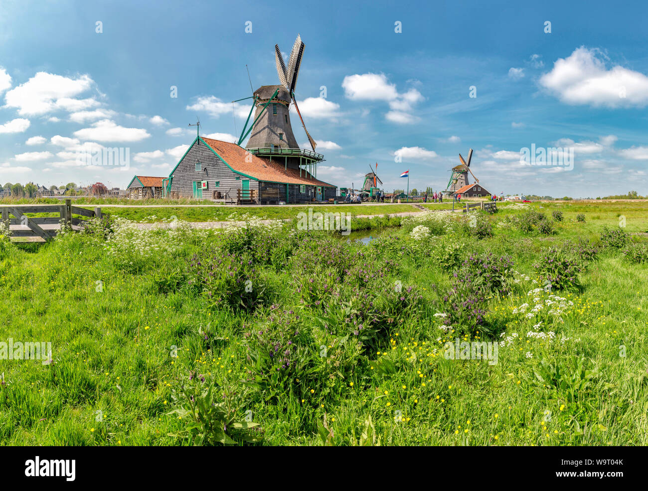 Windmühlen genannt De Kat, Het Jonge Schaap und De Zoeker, 30063897 *** Local Caption *** Stockfoto