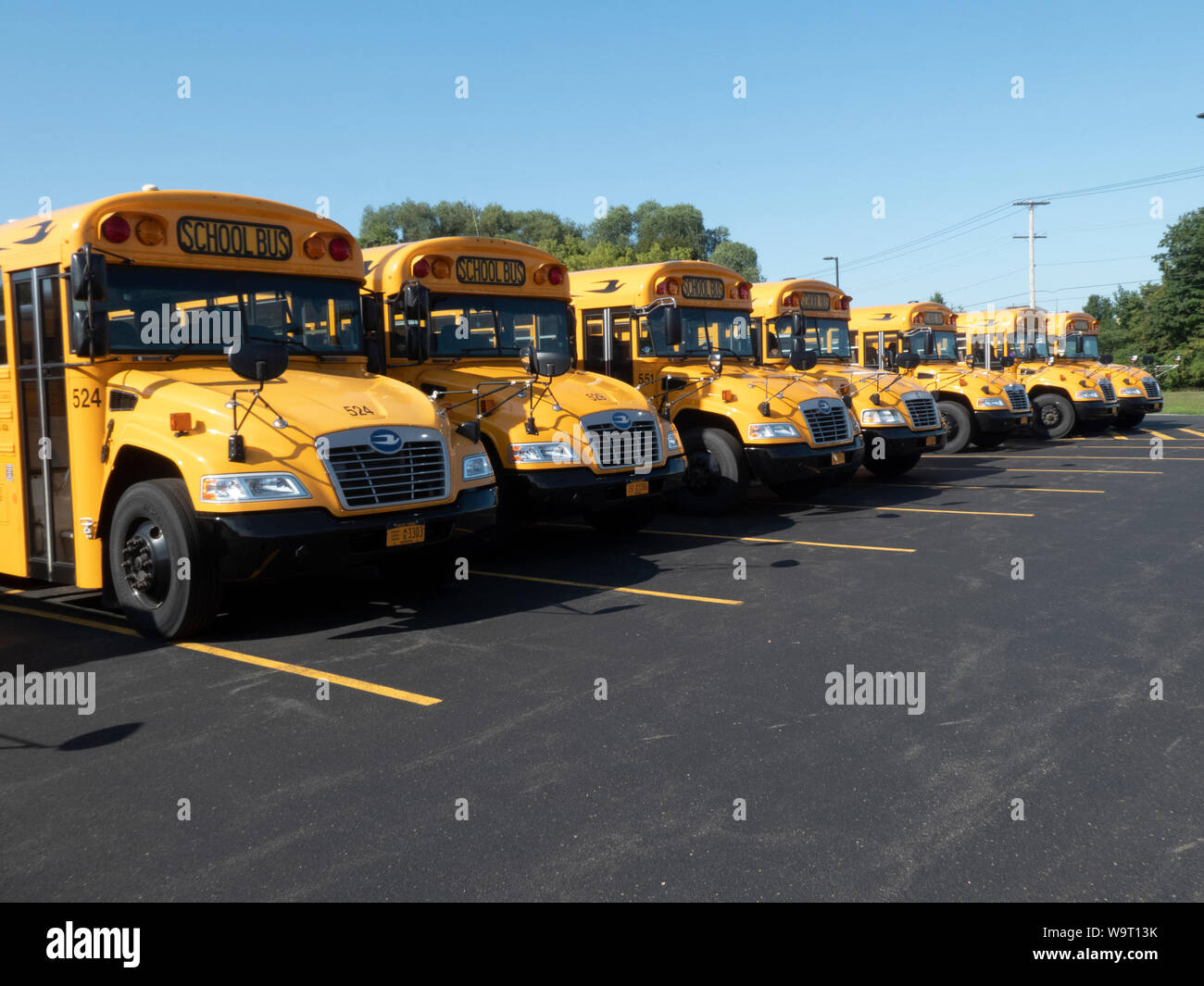 Schulbusse auf dem Grundstück geparkt. Stockfoto