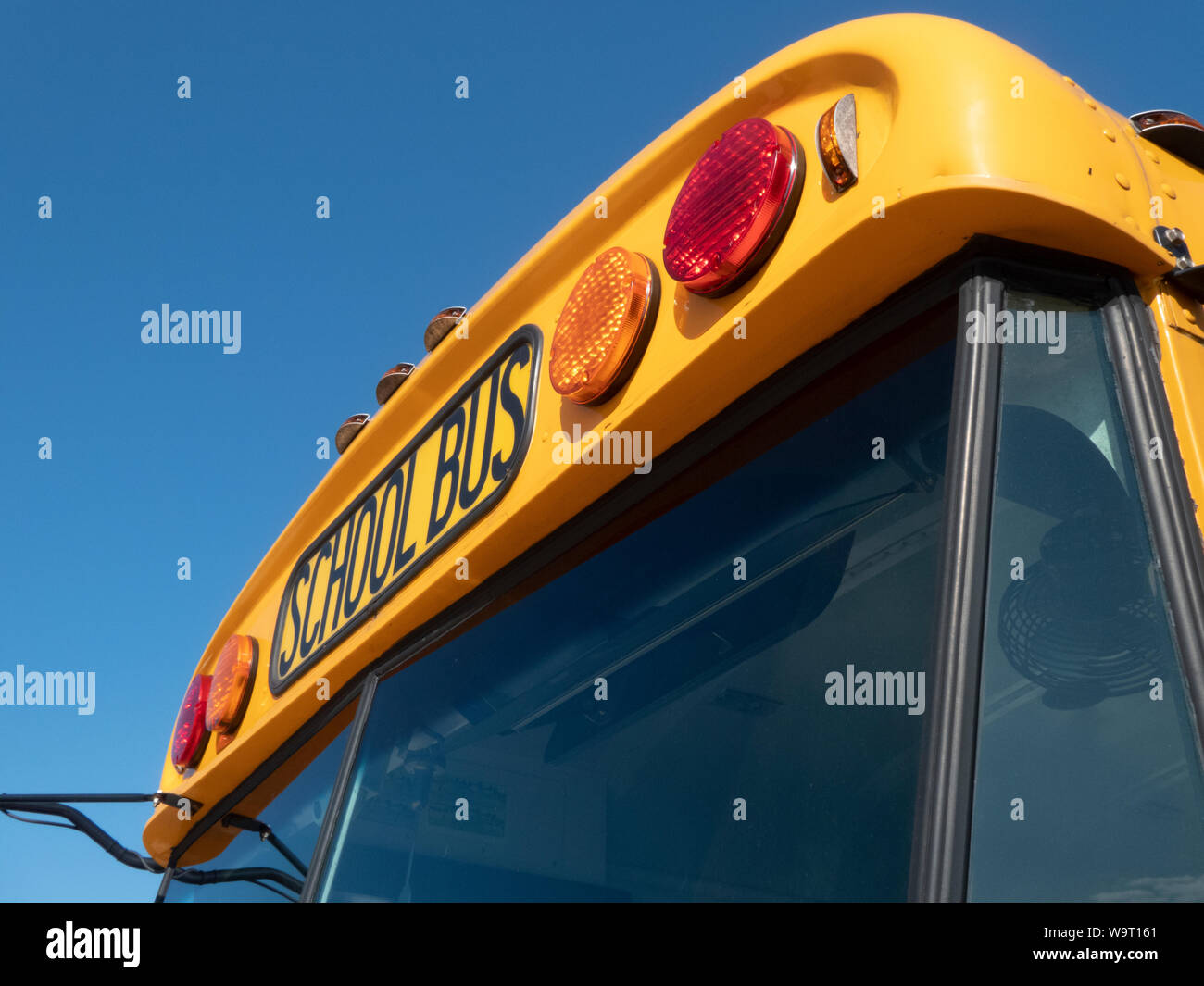 Schulbusse auf dem Grundstück geparkt. Stockfoto