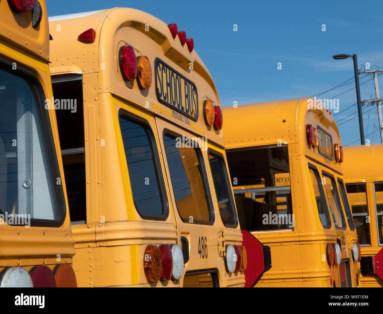Schulbusse auf dem Grundstück geparkt. Stockfoto