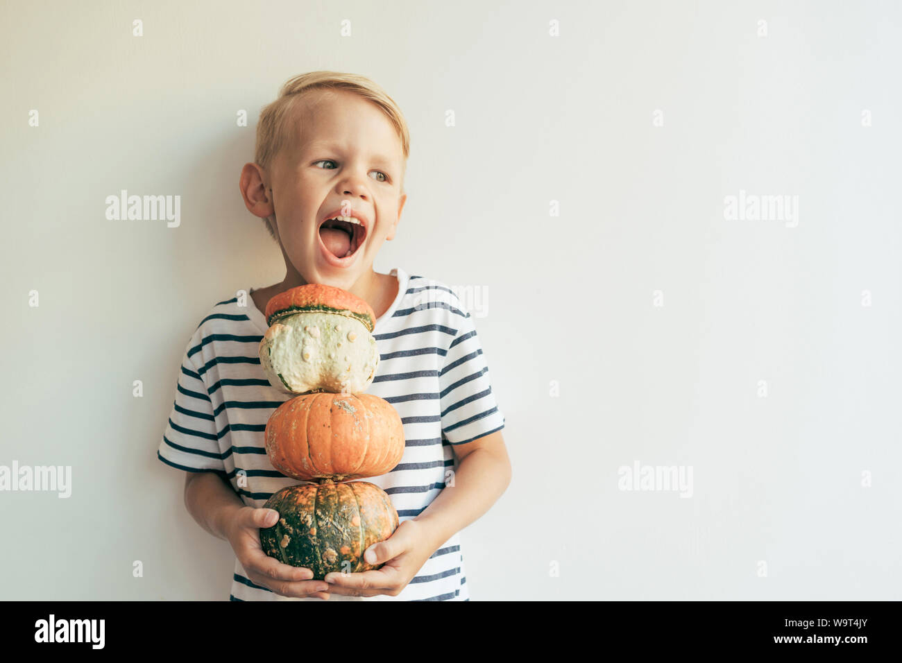 Der junge lacht und hält einen Stapel Kürbisse Stockfoto