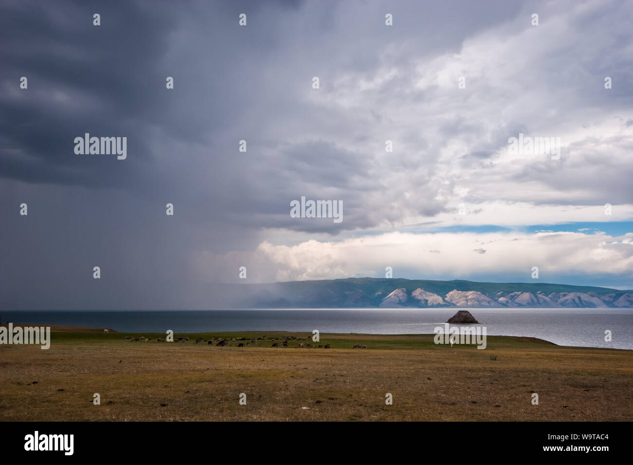 Regen über den Baikalsee und die Kühe am Ufer an einem bewölkten Tag. Über den Regen und den See, die Berge sehen kann. Am Himmel schwere Wolken führen. Stockfoto