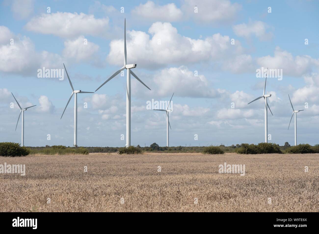 Windenergieanlage in einem Feld Stockfoto