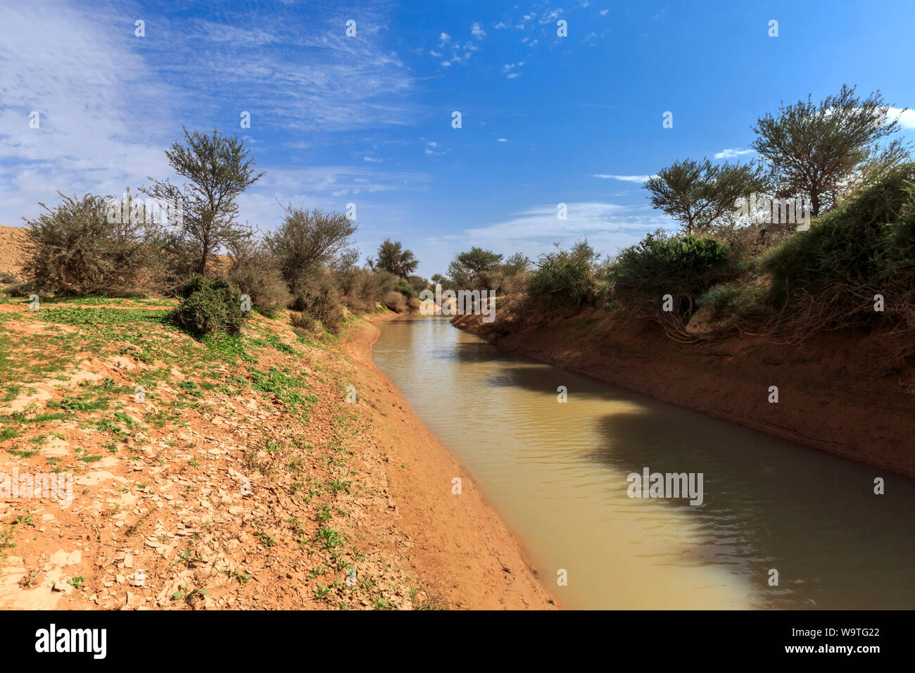 Wüste nach dem Regen, Riad, Saudi-Arabien Stockfoto