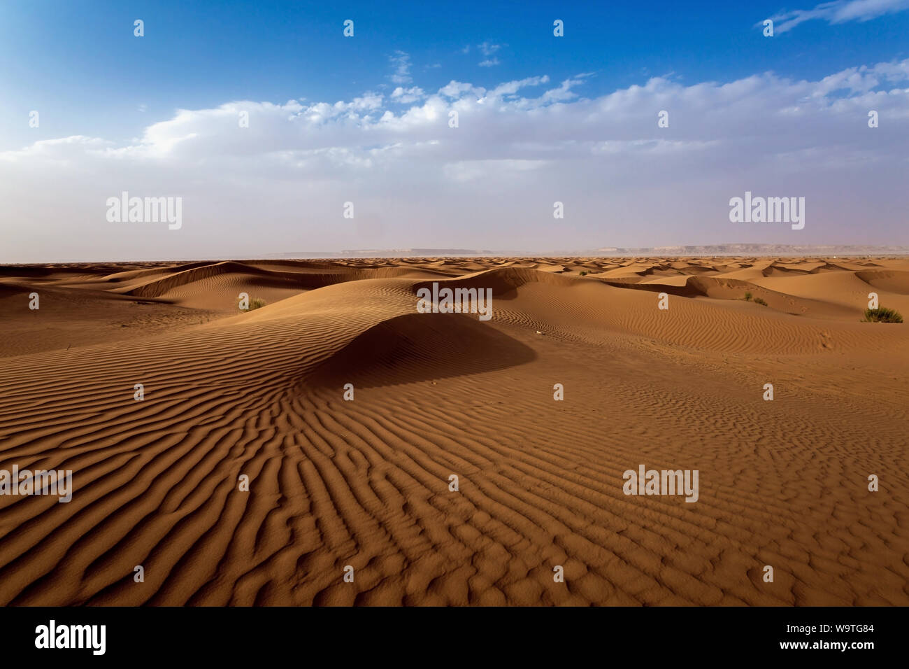 Wüste Landschaft, Riad, Saudi-Arabien Stockfoto