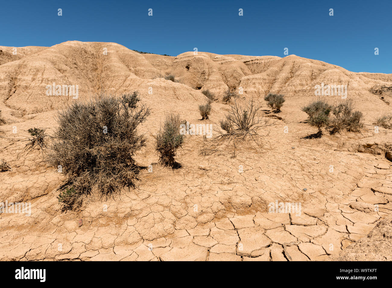 Bardenas Reales Wüste, Navarra, Spanien Stockfoto