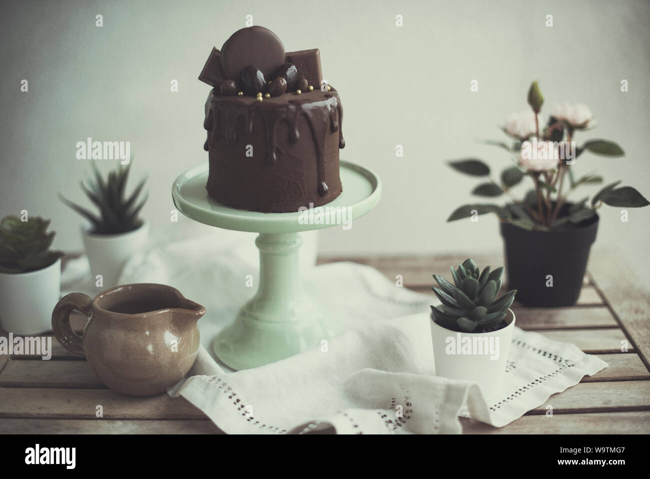 Schokoladenkuchen auf einem cakestand und Pflanzen auf einem Tisch Stockfoto