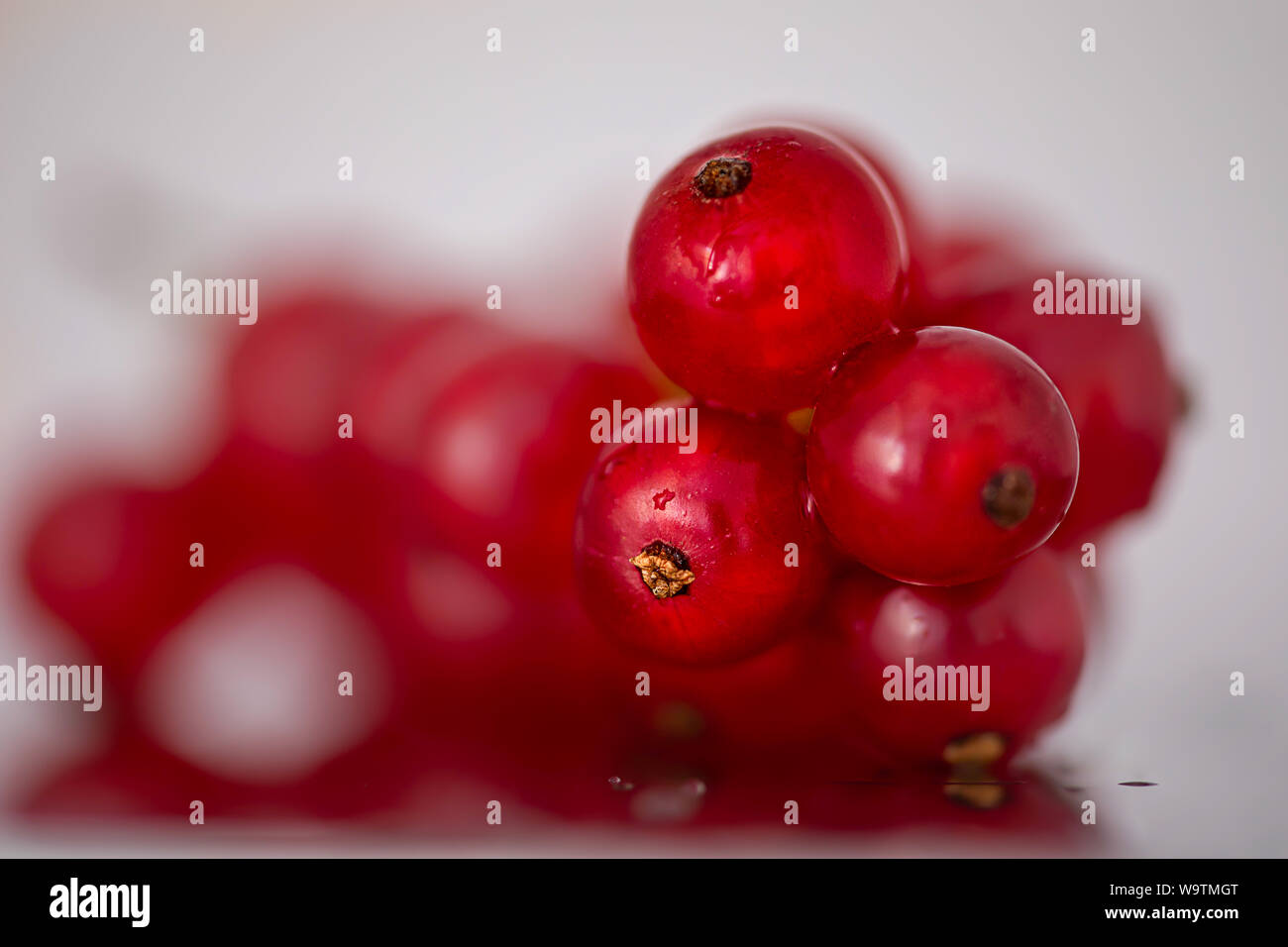 Nahaufnahme der rote Johannisbeeren Stockfoto