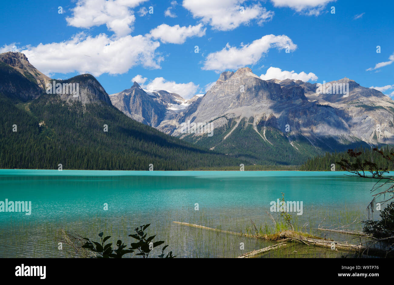 Die unglaubliche Türkis Farbe der Emerald Lake in Kanada Stockfoto