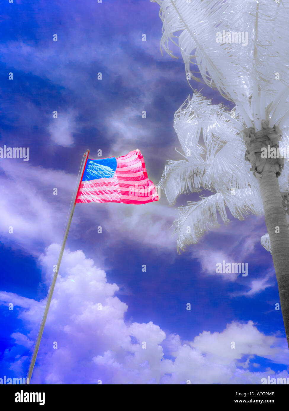 Amerikanische Flagge und Palmen wie eine Infrarotsauna rot Bild mit falschen Farben genommen Stockfoto