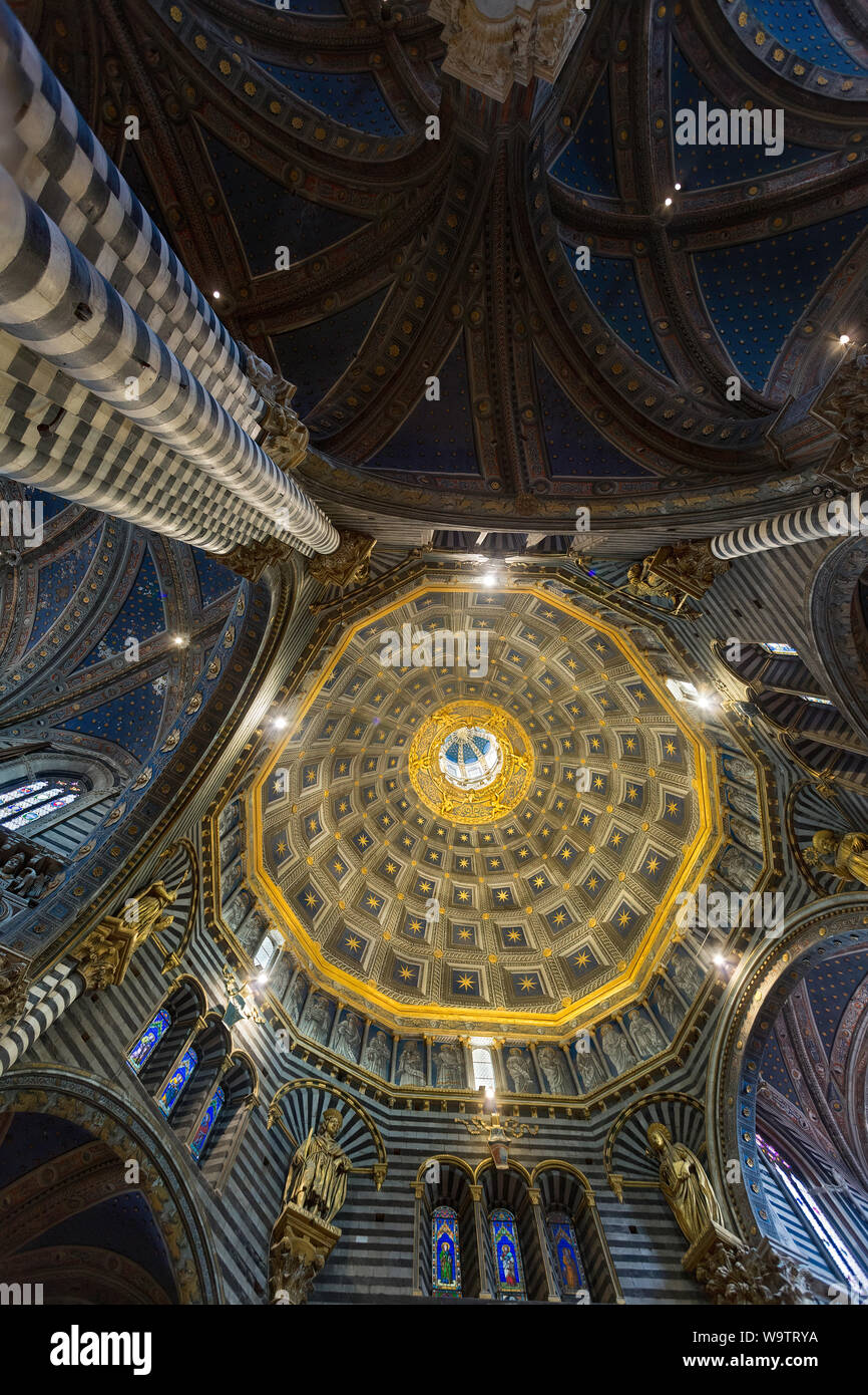 Das Erstaunliche an der Decke des Duomo in Siena. Stockfoto