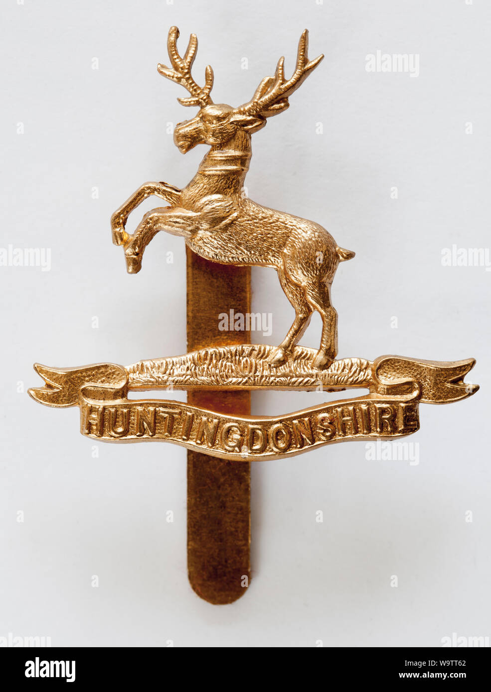 British Army Military Cap Badge-Huntingdonshire Regiment Stockfoto