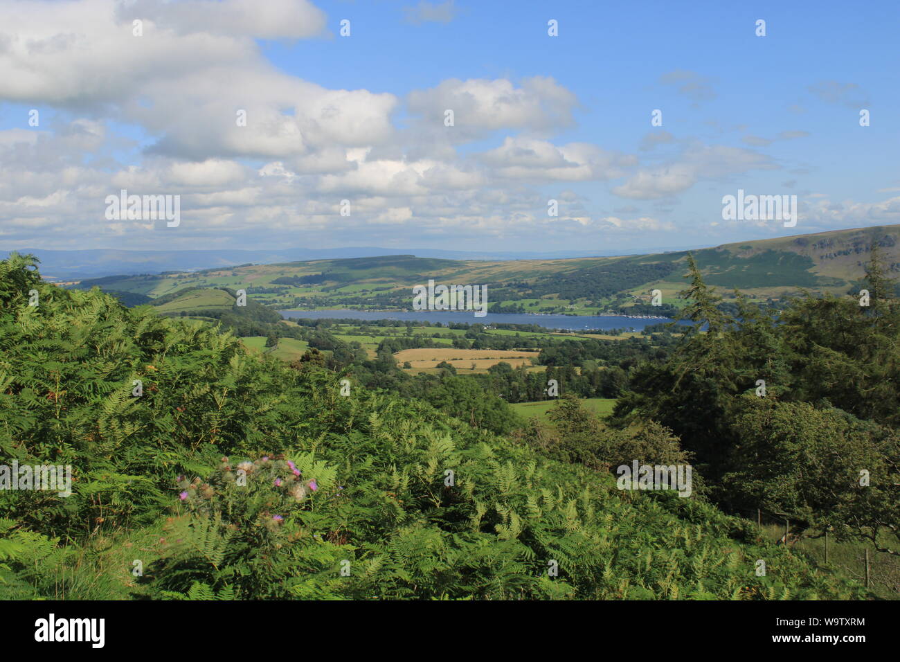 UK ländliche englische Landschaft Sommer. Blick vom Kleinen Mell fiel, Watermillock in der Nähe von Ullswater im englischen Lake District, Cumbria GROSSBRITANNIEN. Stockfoto