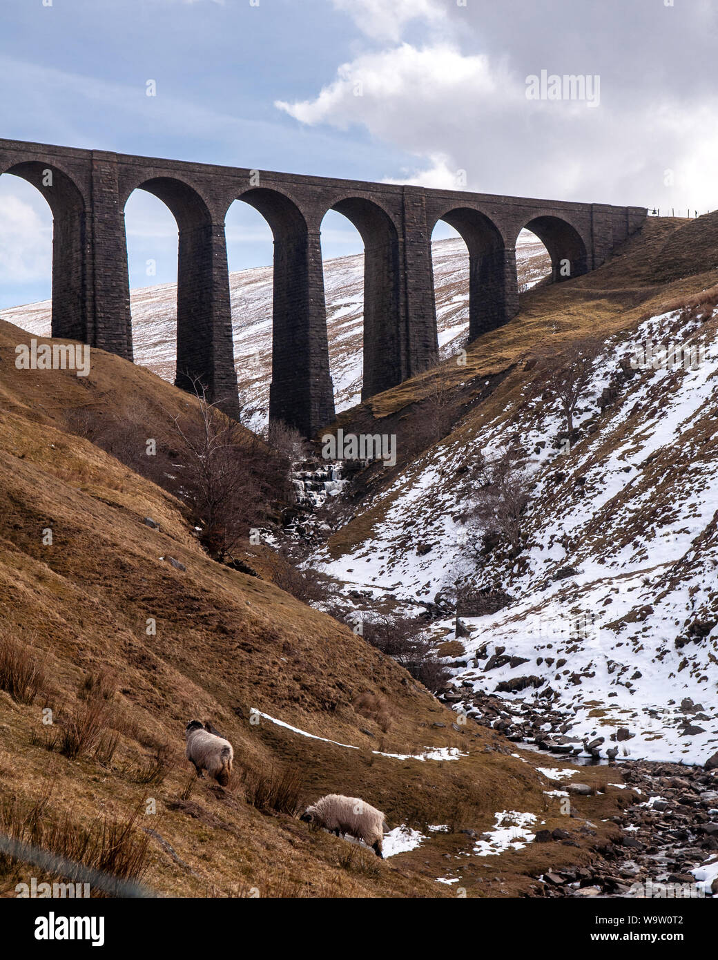 Schafe grasen auf der Weide in Arten Gill unter dem Viadukt der Linie Settle-Carlisle Railway. Stockfoto