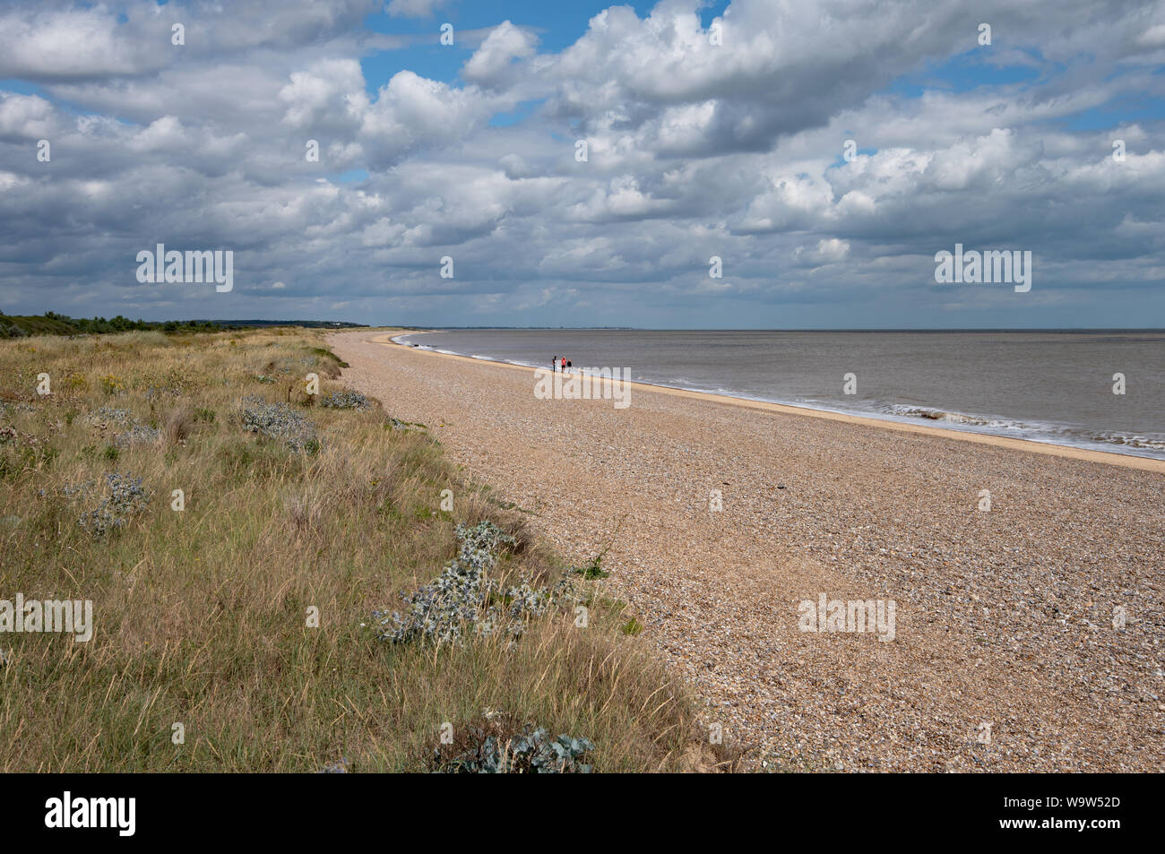 Dunwich Strand, Suffolk, Großbritannien Stockfoto