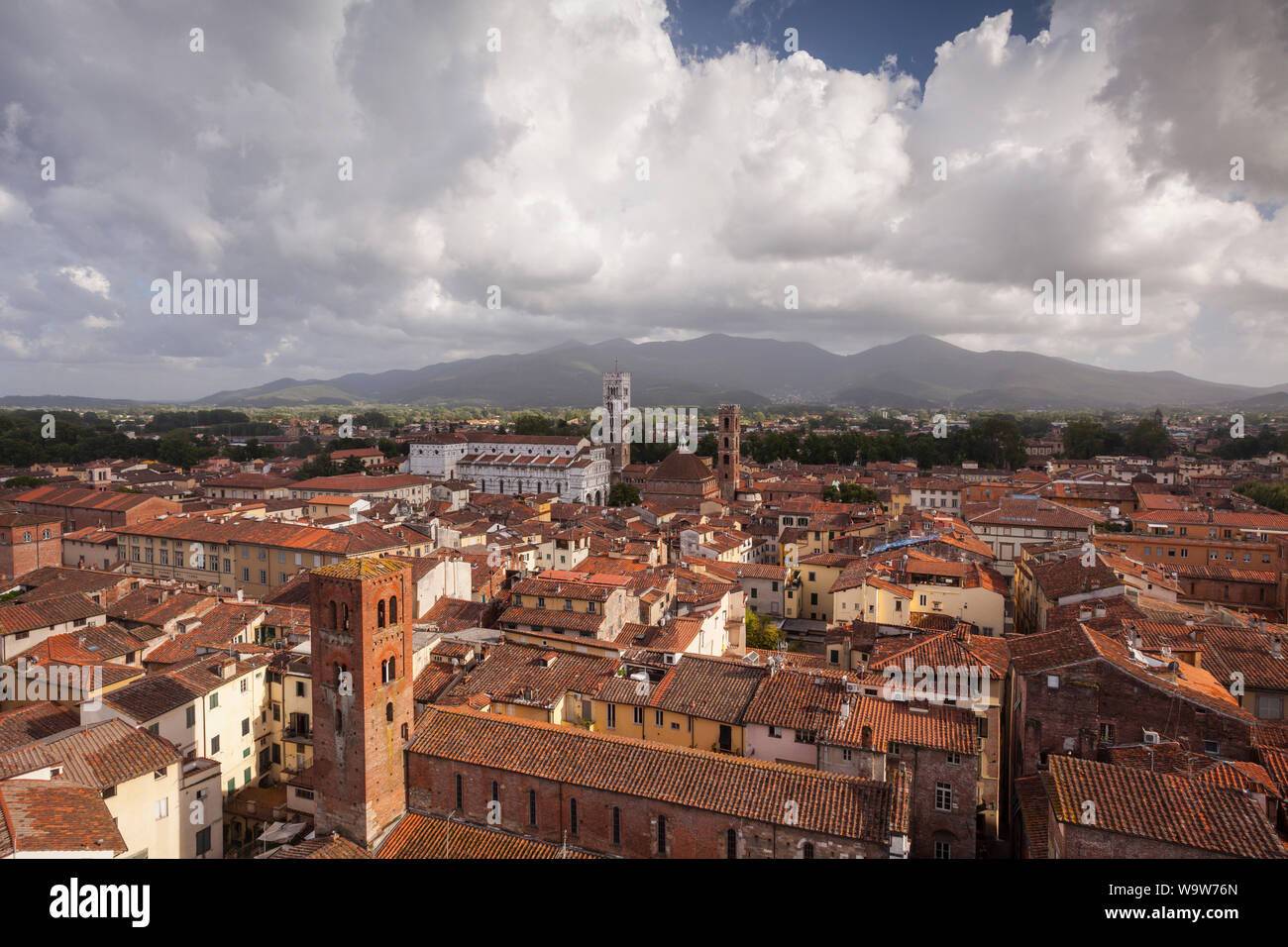 Die Dächer des historischen Zentrums von Lucca. Die UNESCO hat das historische Zentrum als so wichtig erachtet, dass es zum Weltkulturerbe erklärt wurde Stockfoto