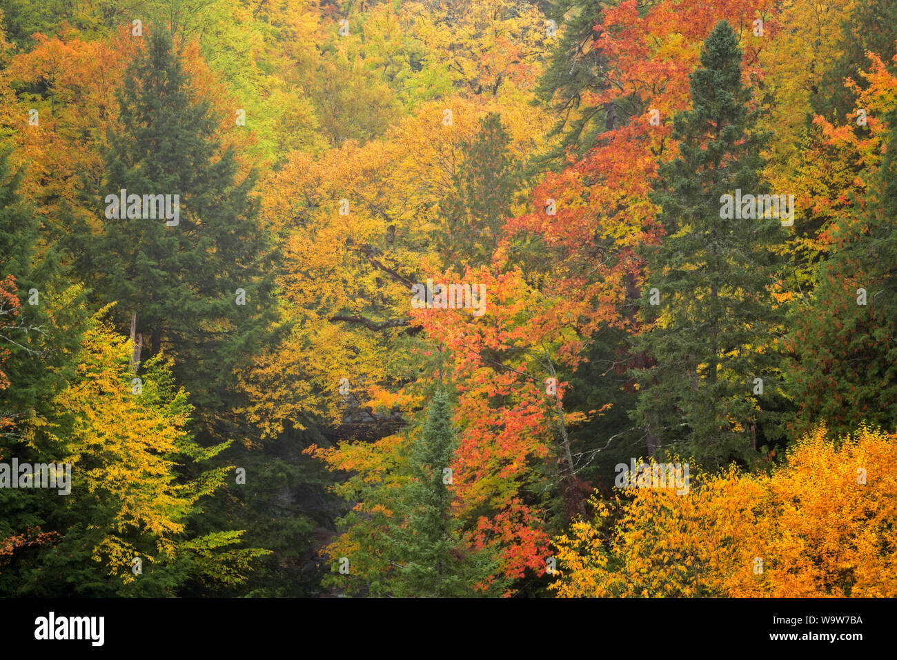 Herbst morgen Reflexion der Hiawatha National Forest am Ackerman See in Michigan's Upper Peninsula. Stockfoto
