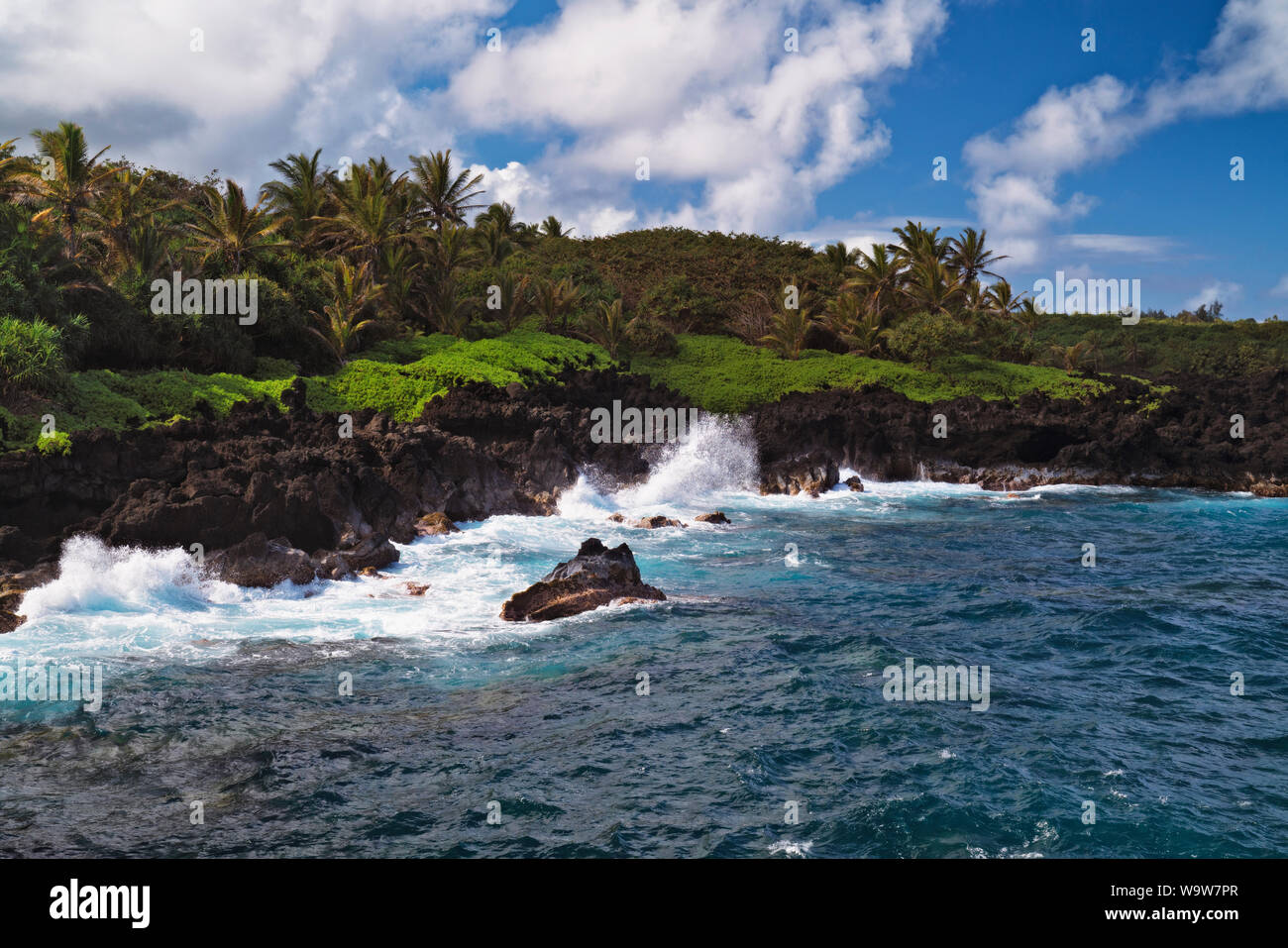Die läuten Rinde des Regenbogens Eukalyptusbaum offenbart unglaubliche Farben entlang der Straße nach Hana auf Hawaii Insel Maui. Stockfoto