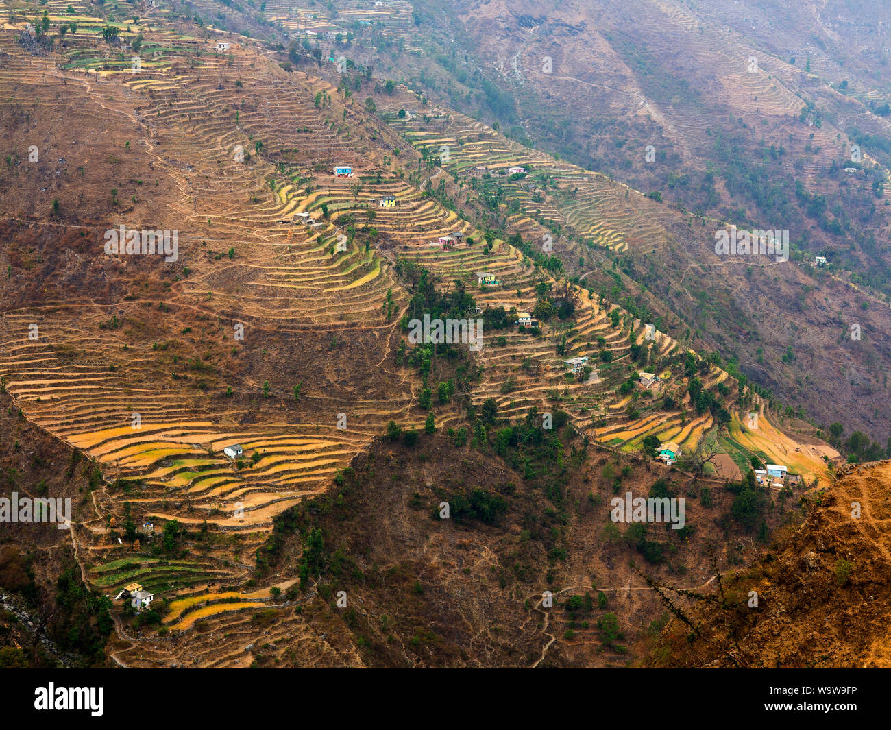 Terrassierten Feldern in Chamoli Dorf auf die kumaon Hills, wo Jim Corbett nach dem Chowgarh Maneater, Uttarakhand, Indien Stockfoto