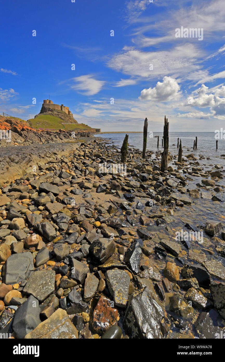 Lindisfarne Castle von der Küste an den alten Stegen, Holy Island, Lindisfarne, Northumberland, England, VEREINIGTES KÖNIGREICH. Stockfoto