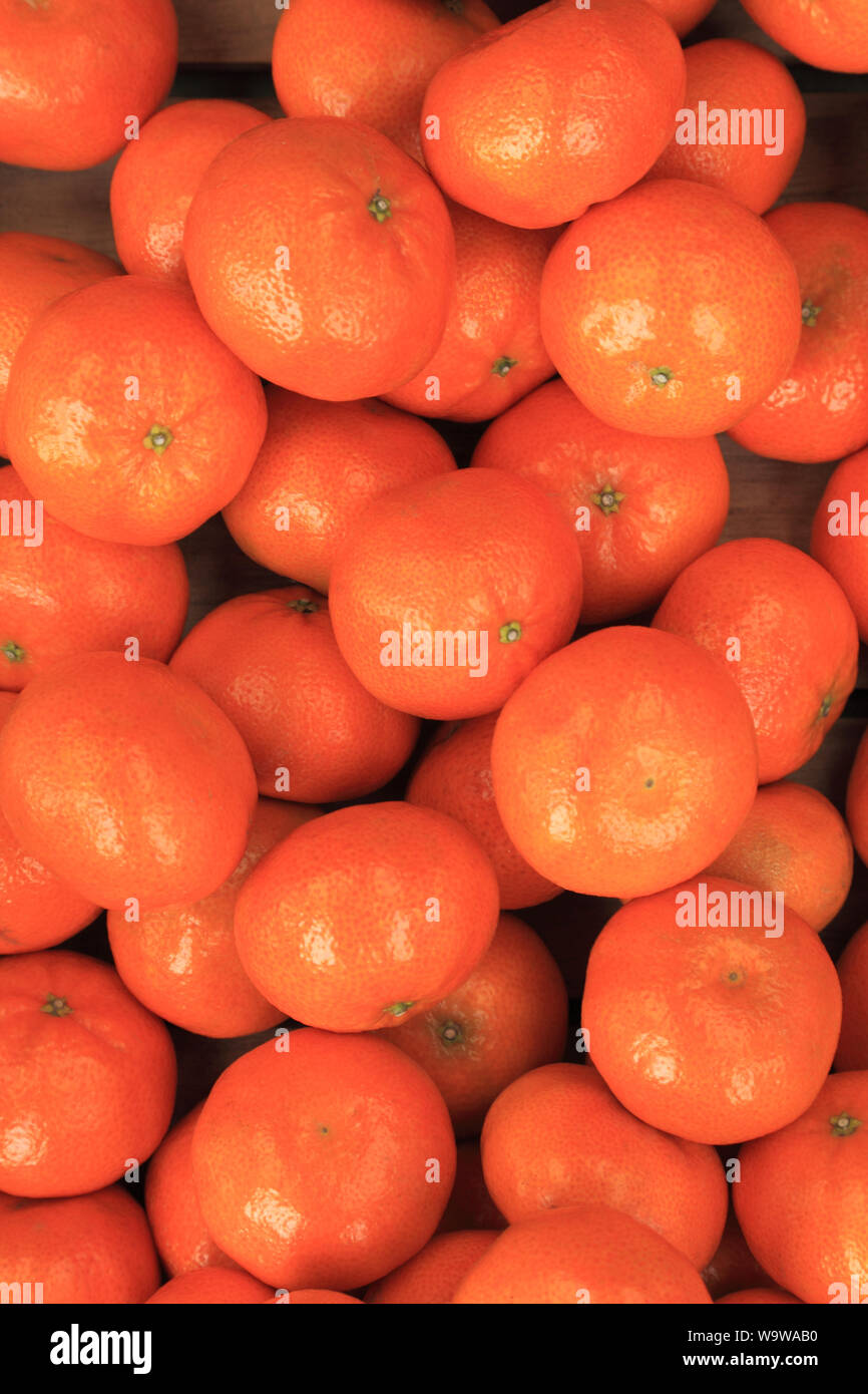Clementinen, Spanisch, aus Spanien, Hofladen Anzeige Stockfoto