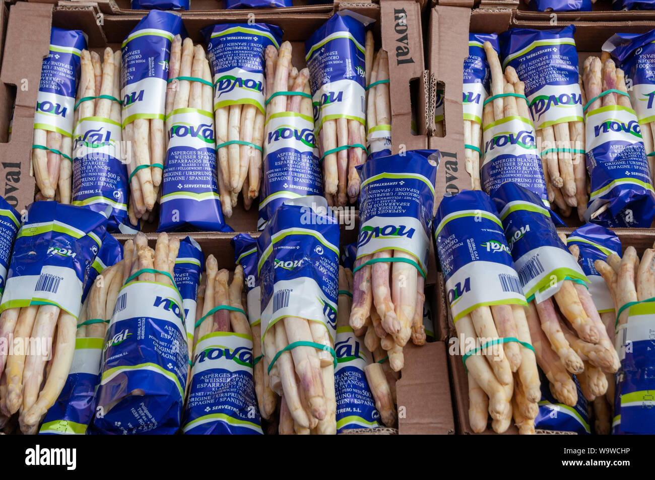 Boxen mit Trauben von Spargel auf dem freien Markt am Samstag in Varengeville-sur-Mer, Normandie, Frankreich. Stockfoto