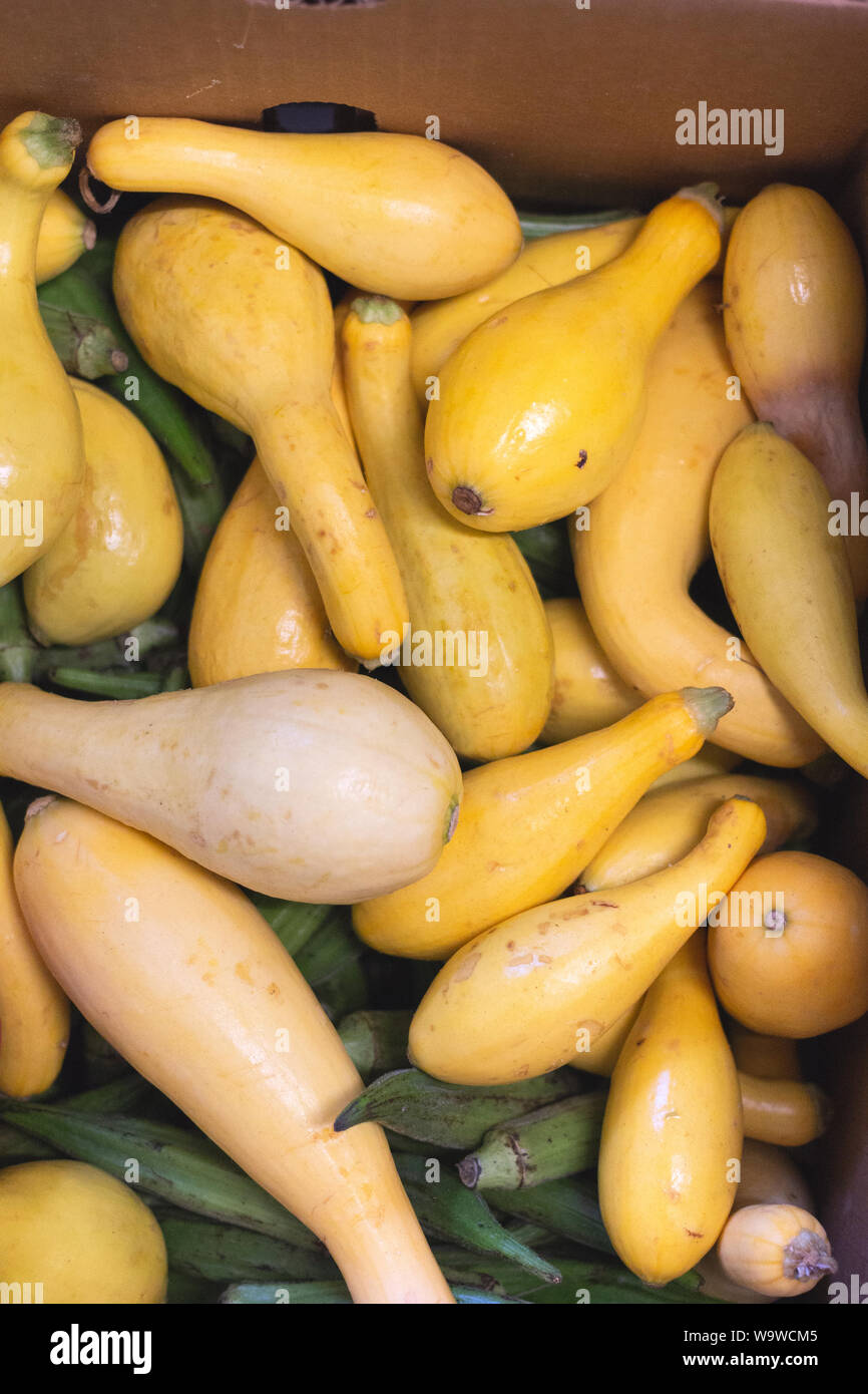 Eine Schachtel crookneck gelber Kürbis (Cucurbita pepo) und Okra (Abelmoschus esculentus) warten am YMCA Ernährung outreach Hub verteilt werden. Stockfoto