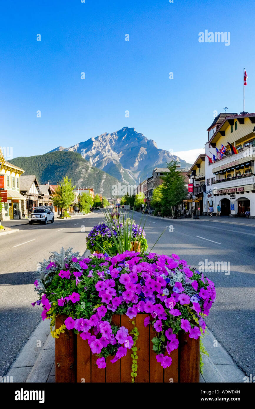 Stadt Banff Avenue, Banff, Banff National Park, Alberta, Kanada Stockfoto