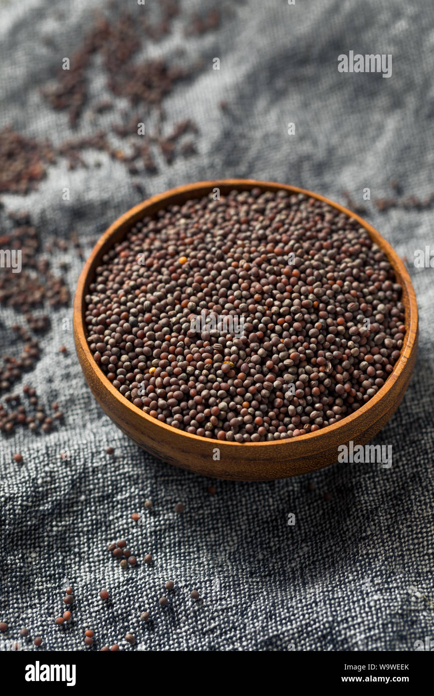 Raw Organic Braun Senf Samen in eine Schüssel geben. Stockfoto