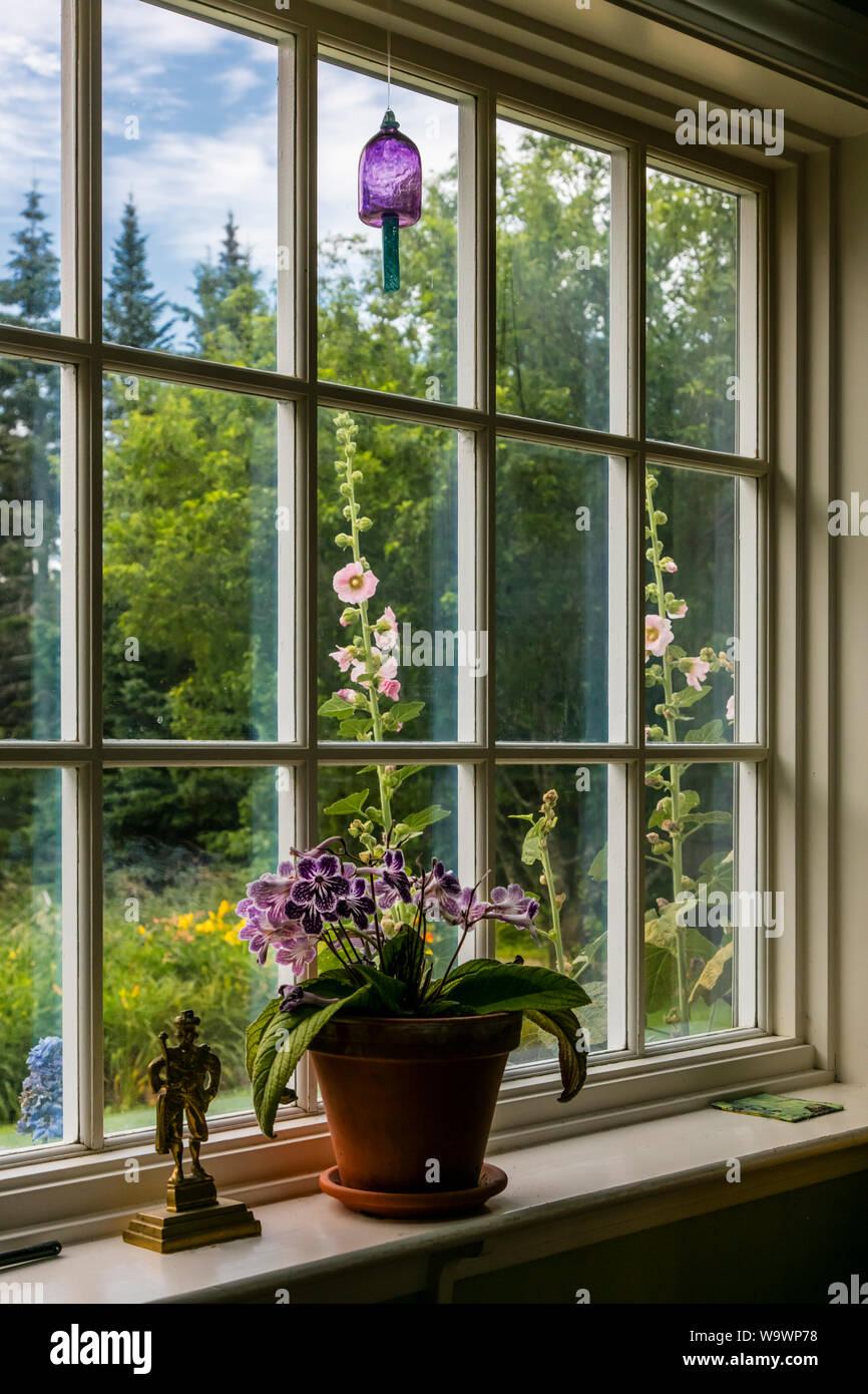 Ein Fenster mit Blumen und Fox Handschuh in Neu England Bauernhaus - Blue Hill, Maine Stockfoto