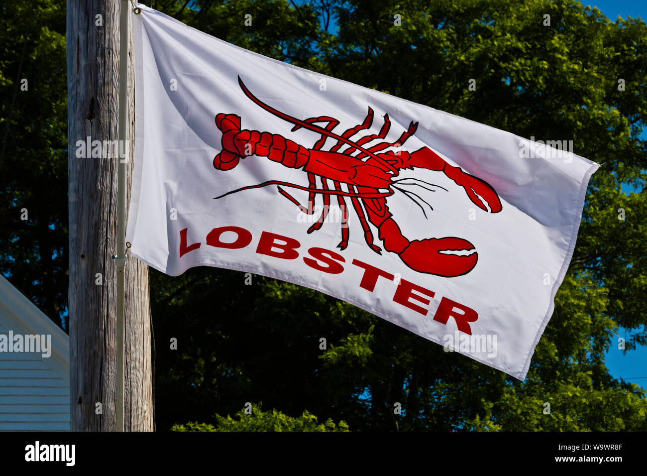 Hummer Flagge in STONINGTON einen großen Hummer Fischereihafen und touristische Destination - Deer Island, Maine Stockfoto