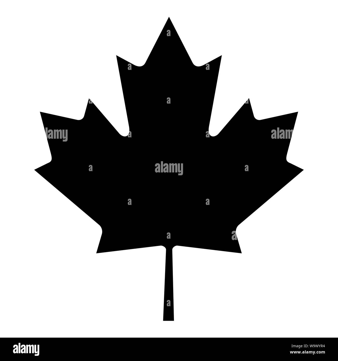 Maple Leaf (schwarz auf weiß) Stockfoto