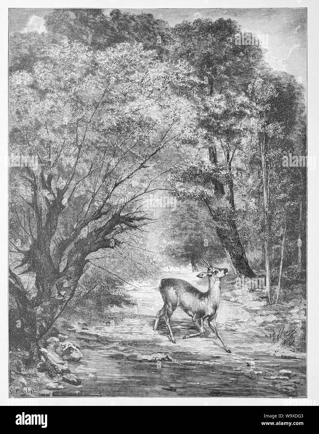 Die Gartenlaube (1891) K13. Stockfoto