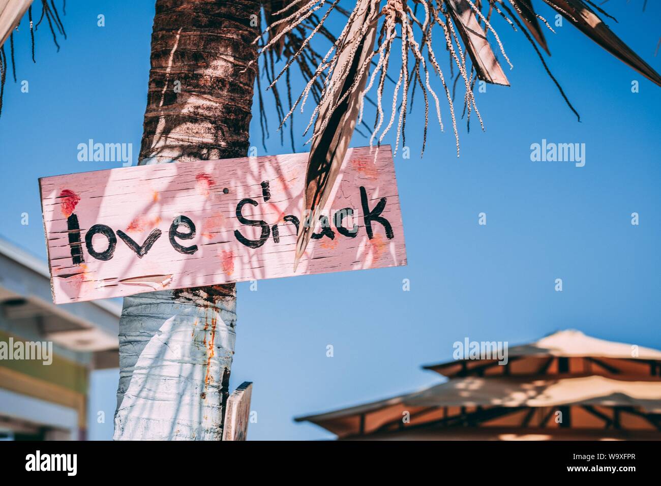 Schöne Aufnahme einer "Love Snack" Beschilderung auf einer Kokosnuss Baum Stockfoto