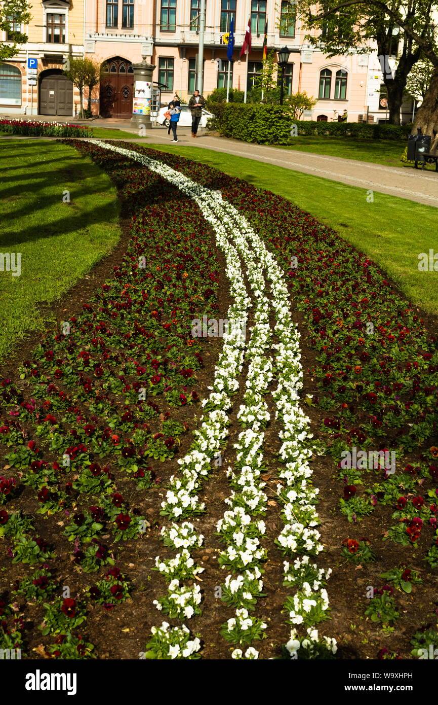 Blumenbeete, die zu Ehren des lettischen Unabhängigkeitstages entworfen wurden Stockfoto