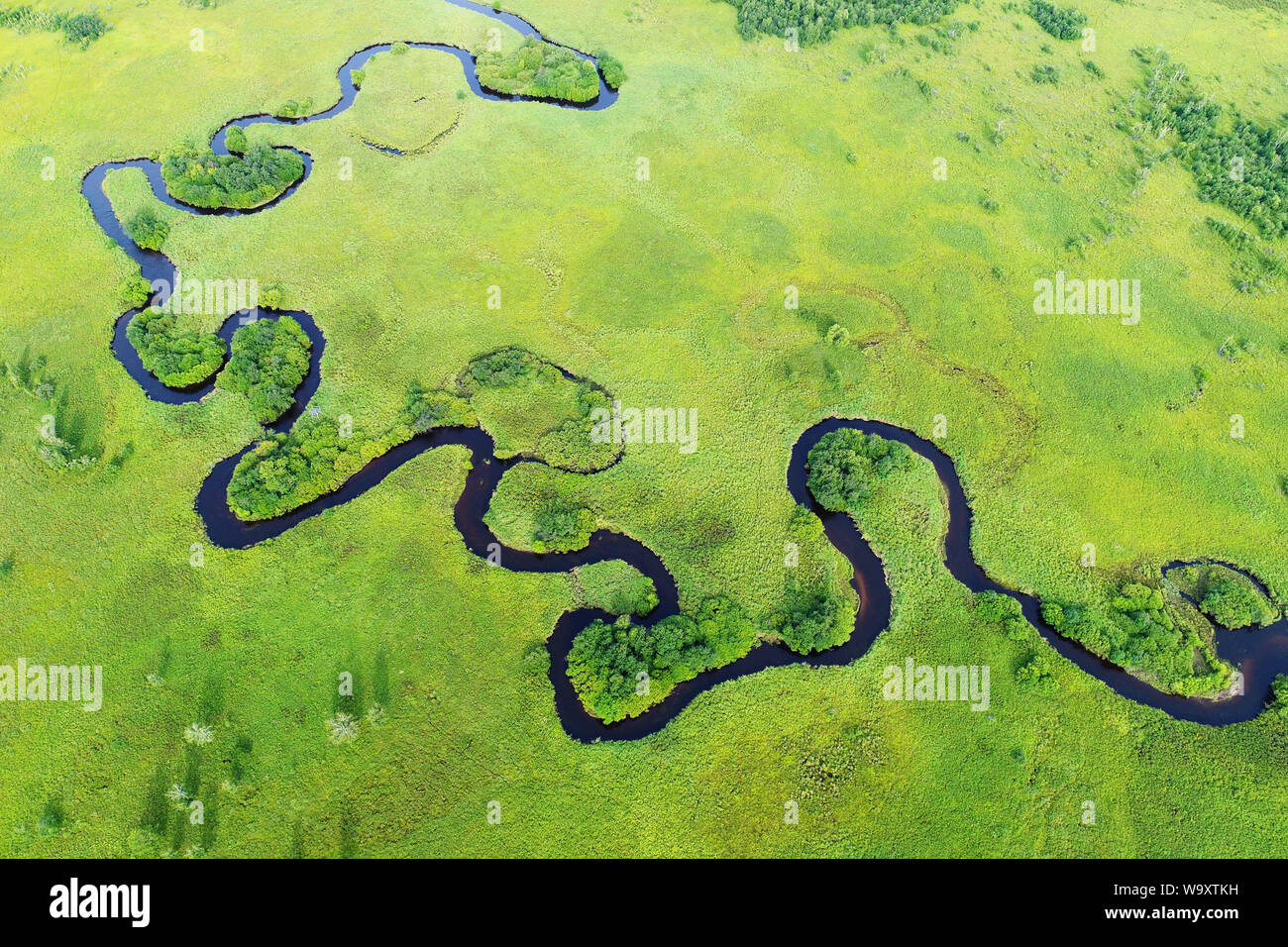 Die hulunbuir Prairie, ur Fluss Stockfoto