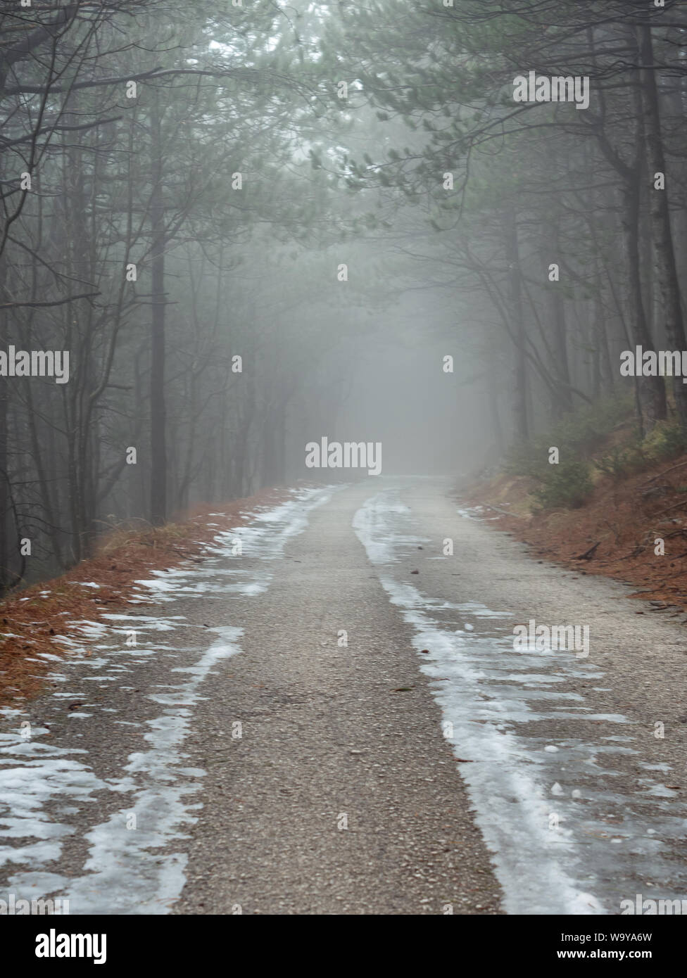 Leere Foggy Mountain Road in Kroatien im Winter Stockfoto