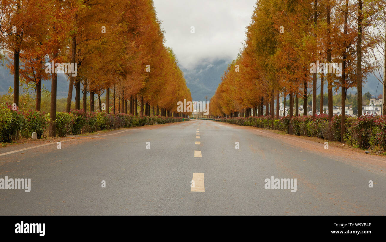 Straße, Stockfoto
