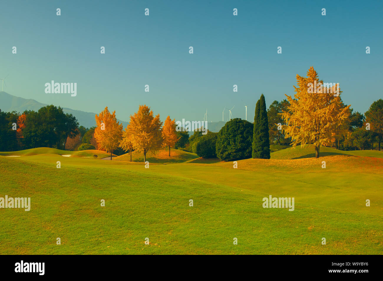 Herbst Stockfoto