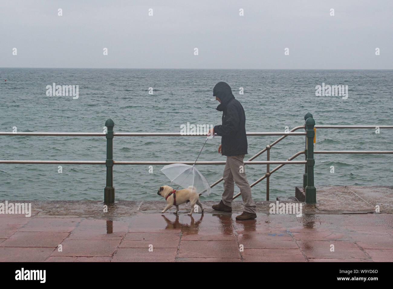 Penzance, Cornwall, UK. 16. August 2019. UK Wetter. Einen nassen und windigen Start in den Tag für Hund Spaziergänger auf dem Meer von Penzance. Die Prognose für die anhaltend starke Winde und thundery Duschen. Kredit Simon Maycock/Alamy Leben Nachrichten. Stockfoto