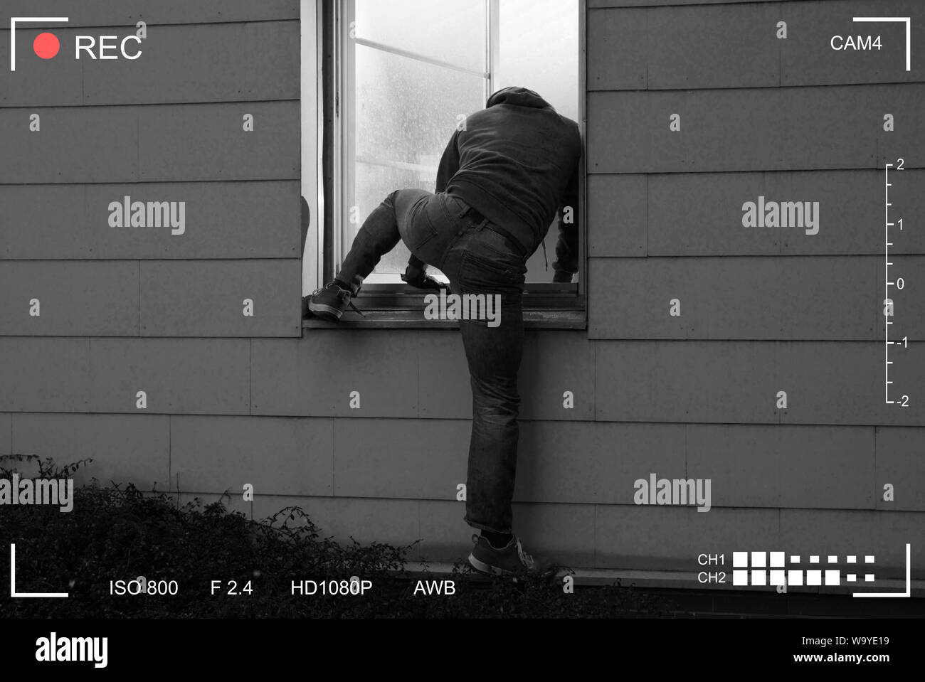 Ansicht der Rückseite ein Einbrecher in ein Haus durch ein offenes Fenster Stockfoto
