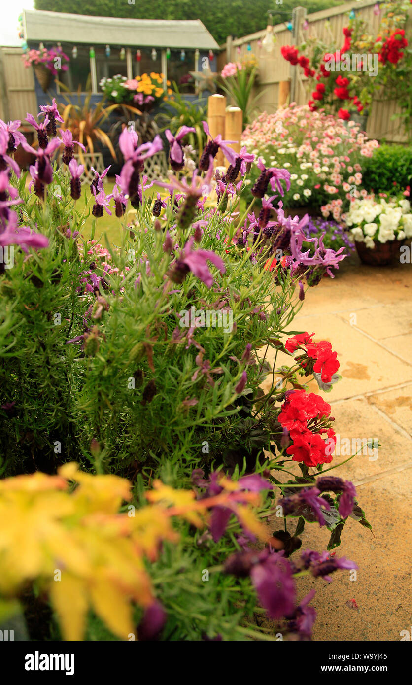 Kleiner Garten Stockfoto