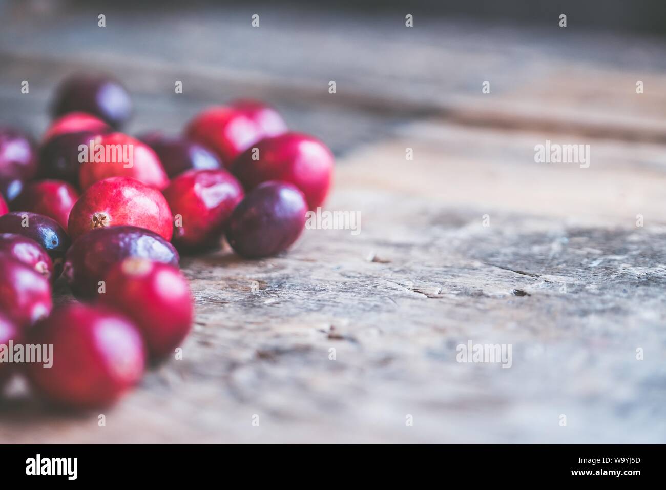 Nahaufnahme von roten Kaffeebohnen auf einem Holzgrau Hintergrund Stockfoto