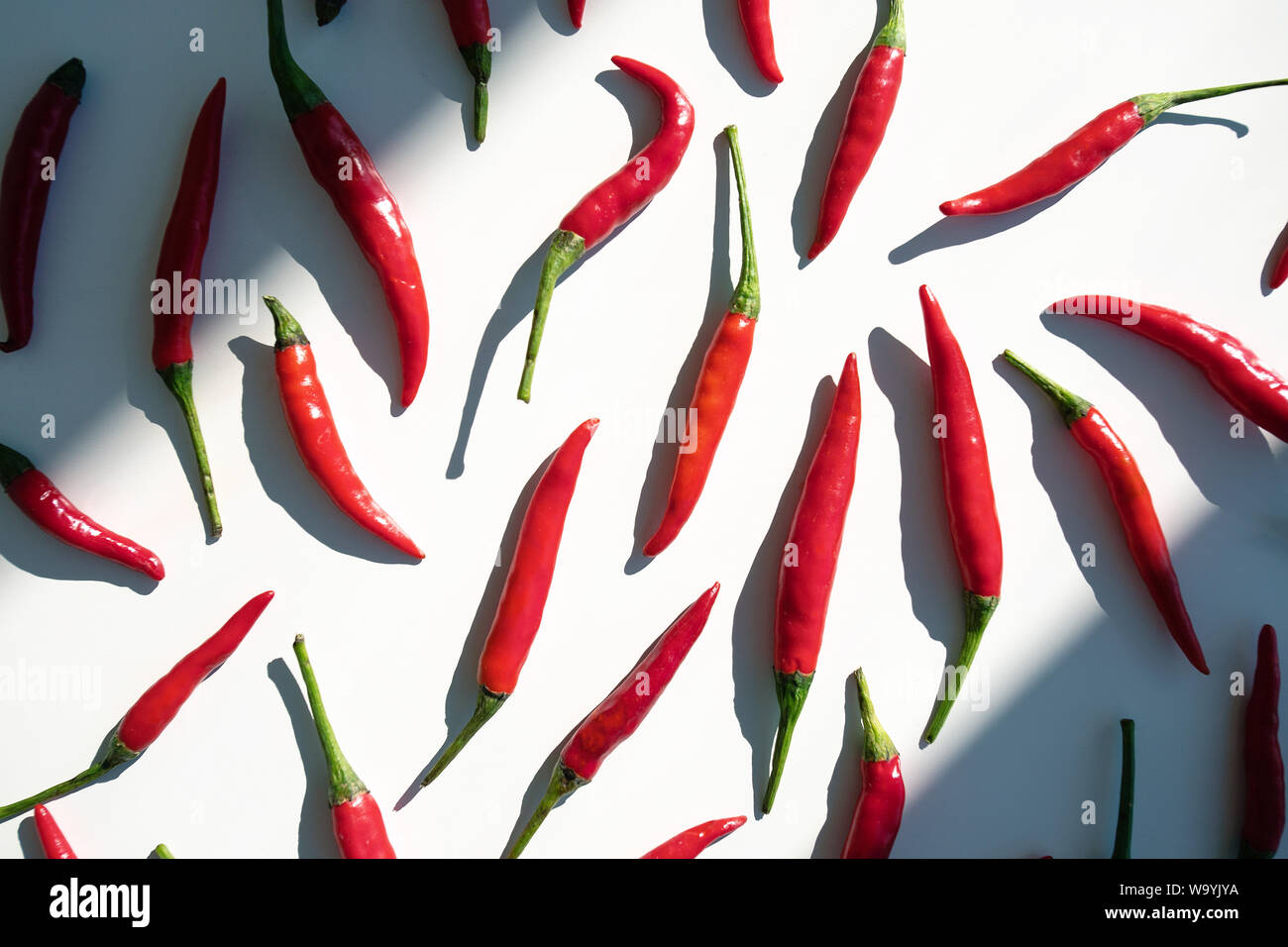 Red Hot Chili Peppers wenig Muster auf weißem Hintergrund. Ansicht von oben. Stockfoto