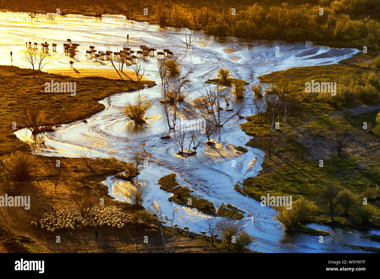 Die Weide der Inneren Mongolei Stockfoto