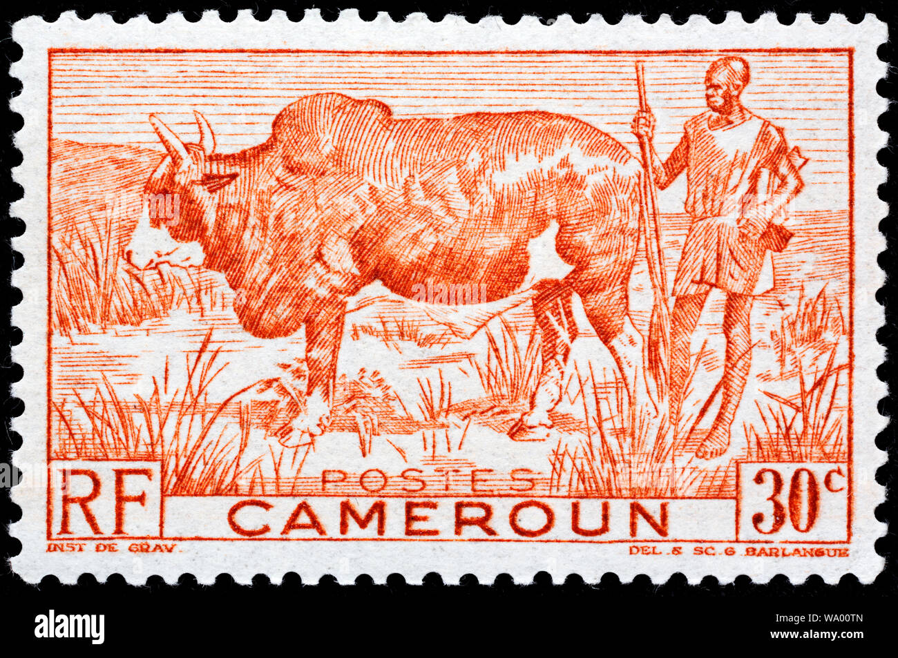 Zebu, Bos primigenius indicus, Hirt, Briefmarke, Kamerun, 1946 Stockfoto