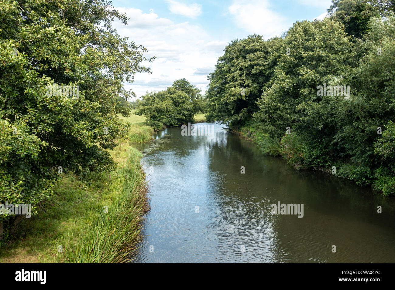 Ein Blick hinunter auf den Fluss Kennet in Reading, Berkshire. Stockfoto