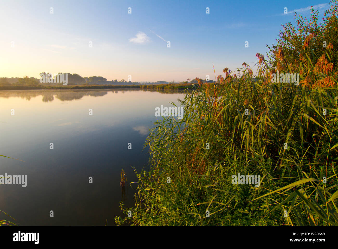 Reinheimer teich Fotos und Bildmaterial in hoher Auflösung Alamy